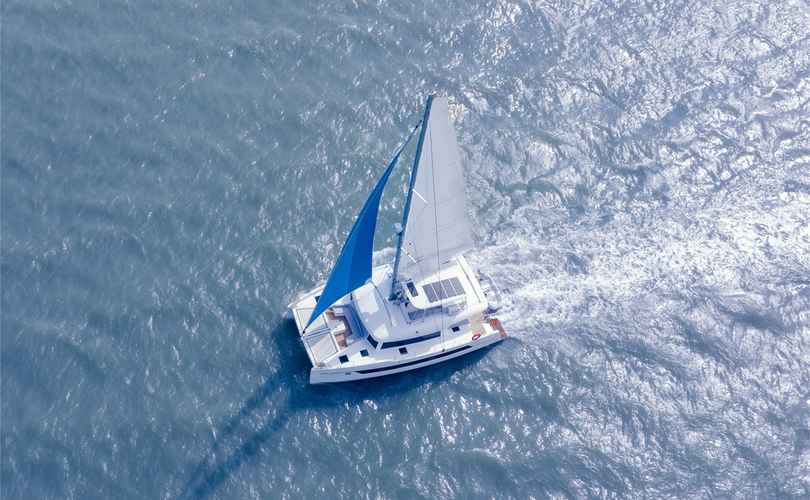 Photo Seaview 50 (2025)