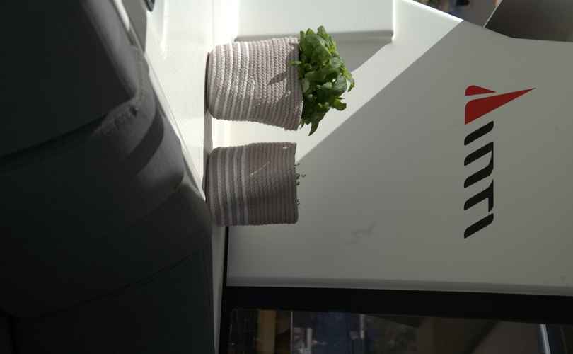 Photo Astrea 42 (2019)