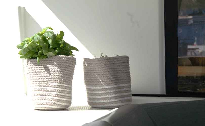 Photo Astrea 42 (2019)