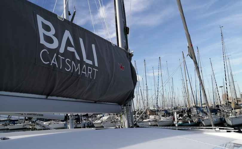 Photo Bali Catsmart (2025)