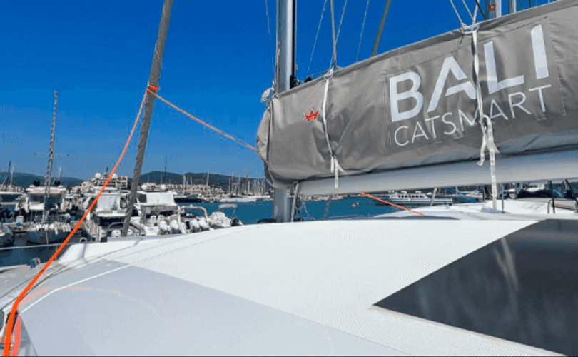 Photo Bali Catsmart (2025)
