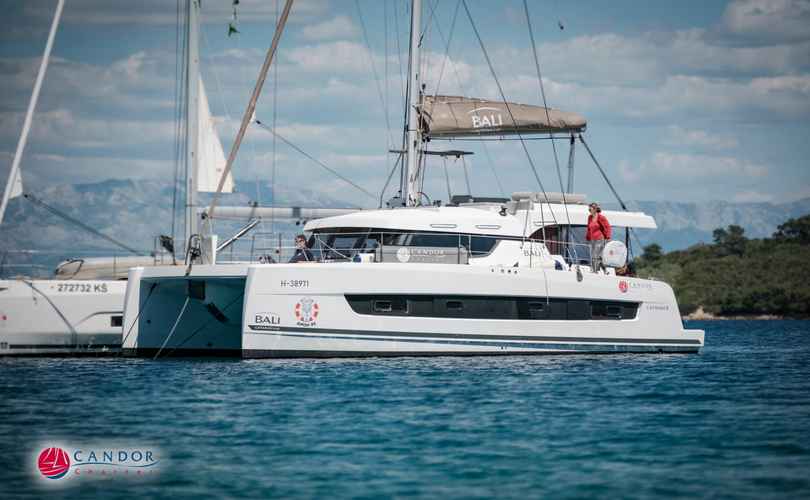 Photo Bali Catspace Voile (2022)