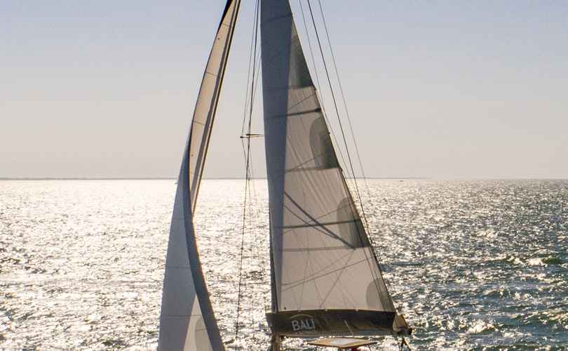 Bali Catspace Voile