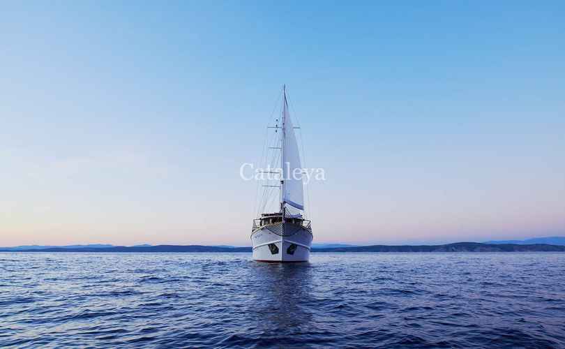 Photo Cataleya (Ex Vjeko) (2009)