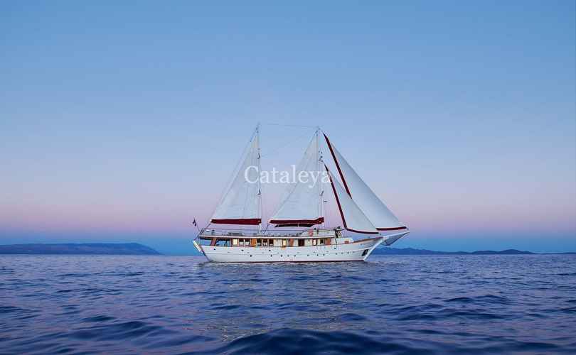 Photo Cataleya (Ex Vjeko) (2009)