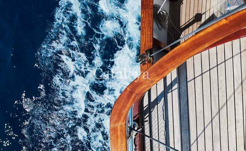 Photo Cataleya (Ex Vjeko) (2009)