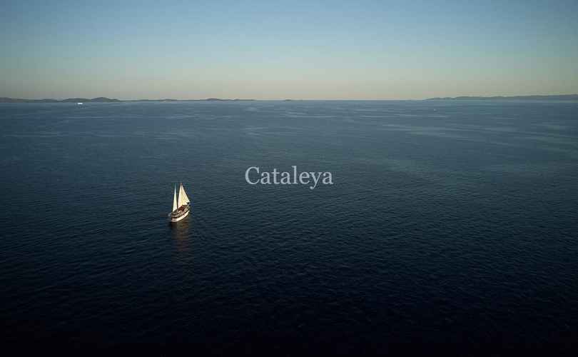 Photo Cataleya (Ex Vjeko) (2009)