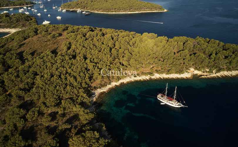 Photo Cataleya (Ex Vjeko) (2009)