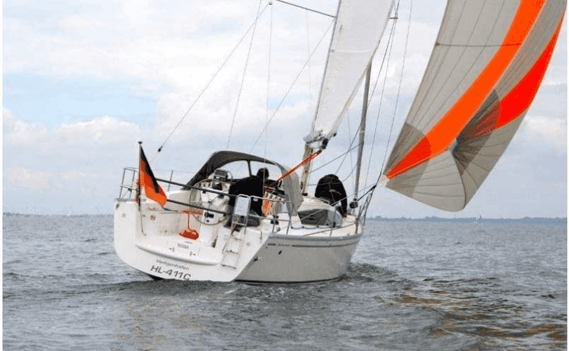 Delphia 31