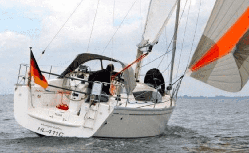 Delphia 31