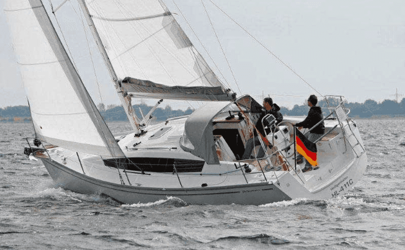 Delphia 31