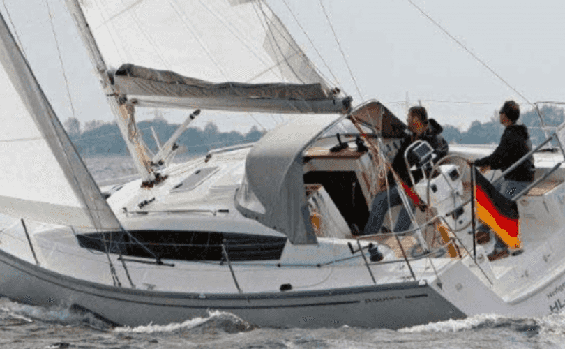 Delphia 31