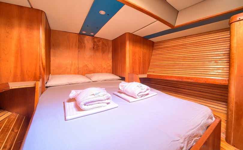 Photo Dolphin 50 (2003)