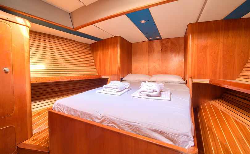 Photo Dolphin 50 (2003)