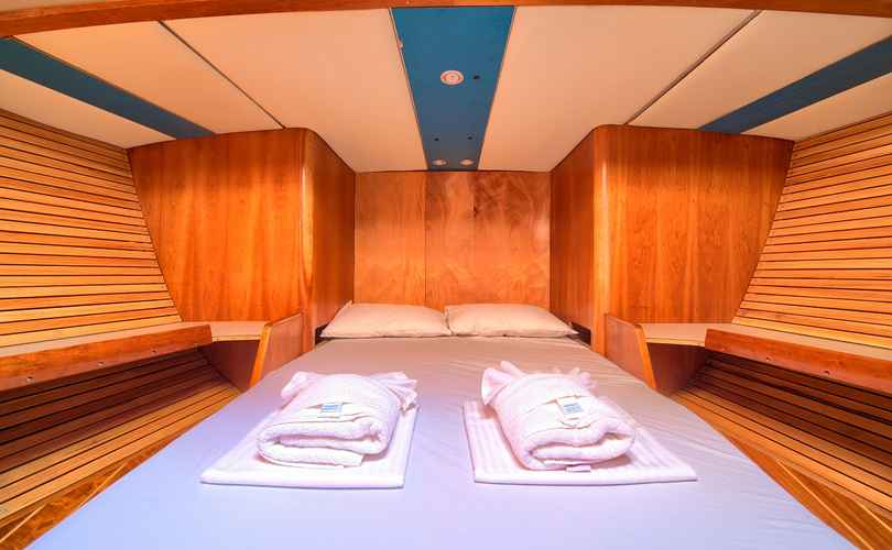 Photo Dolphin 50 (2003)