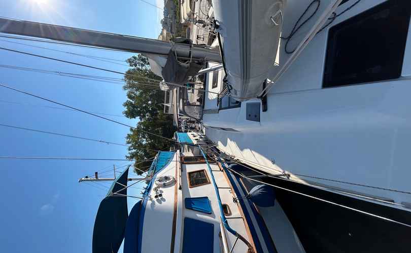 Photo Dufour 460 Grand Large (2019)