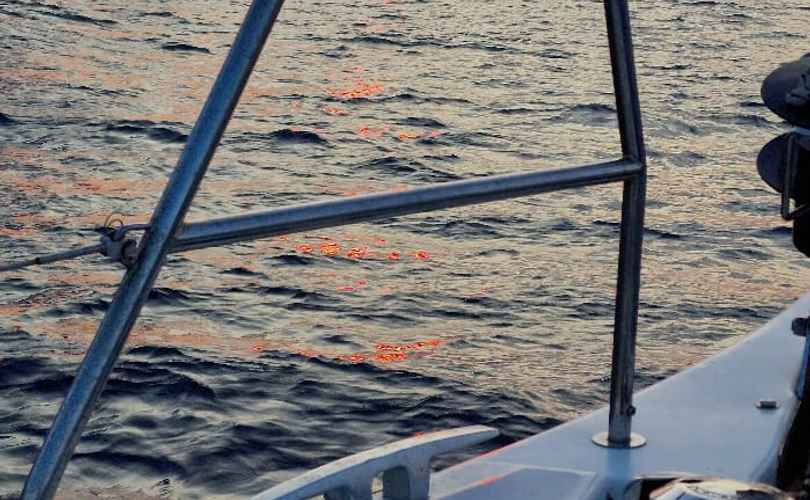 Photo Dufour 460 Grand Large (2020)