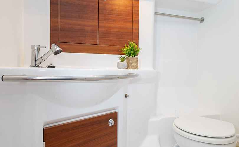 Photo Elan Impression 40.1 (2020)