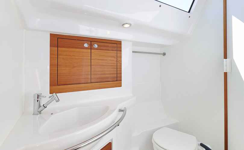 Photo Elan Impression 40.1 (2020)