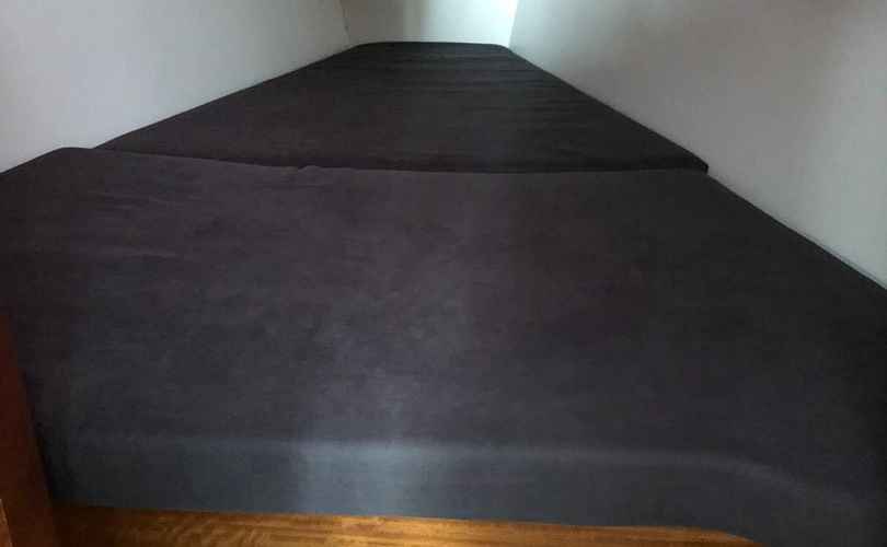 Photo Elan Impression 40.1 (2020)