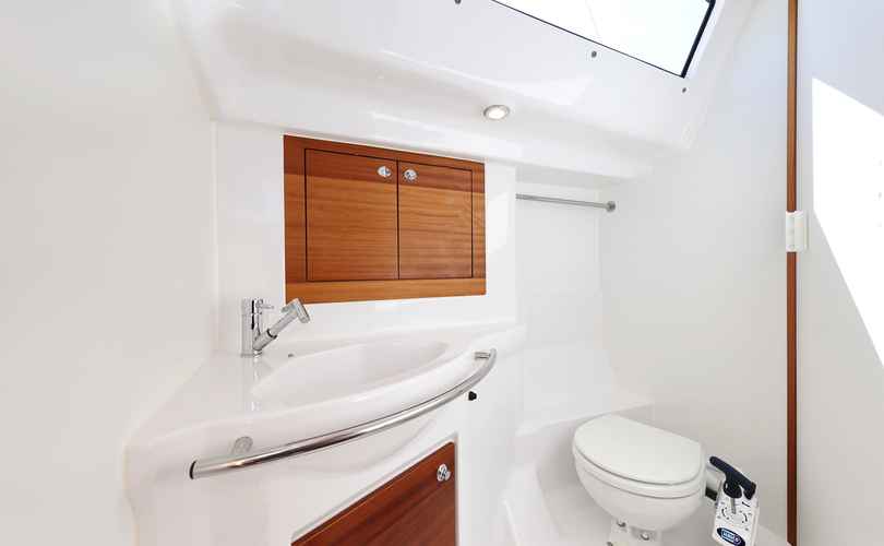 Photo Elan Impression 40.1 (2020)