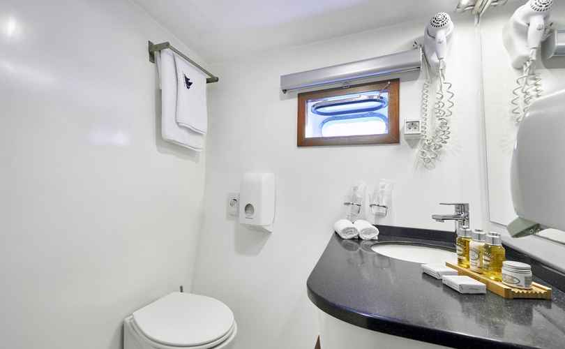 Photo Fortuna (1994)