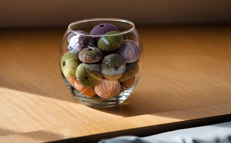 Photo Saba 50 (2016)