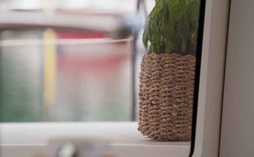 Photo Isla 40 (2022)