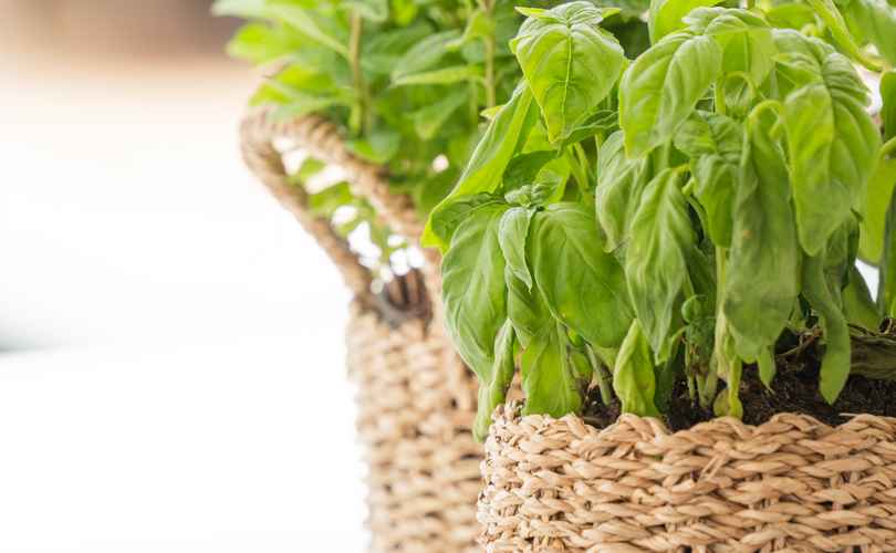 Photo Isla 40 (2022)