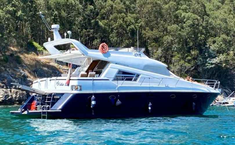 Johnson 56