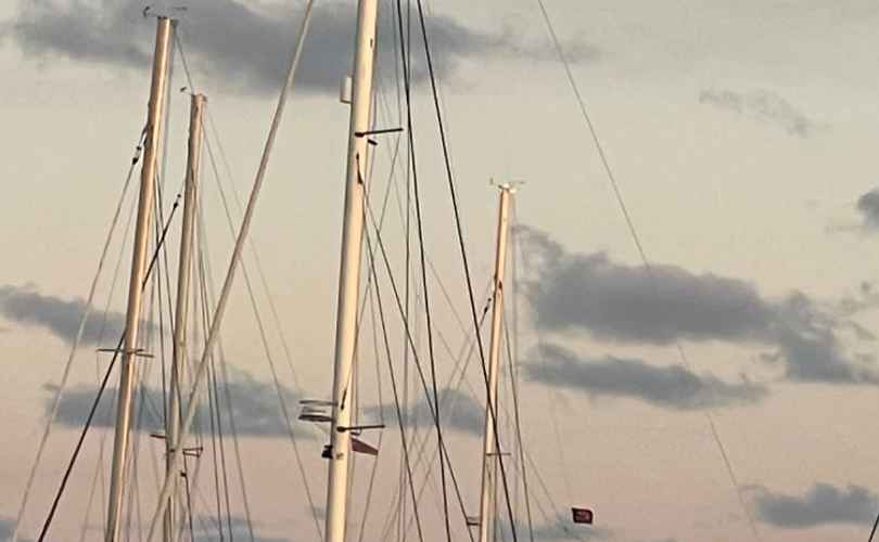 Photo Lagoon 51 (2025)
