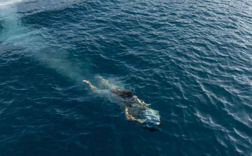 Photo Lagoon 55 (2025)