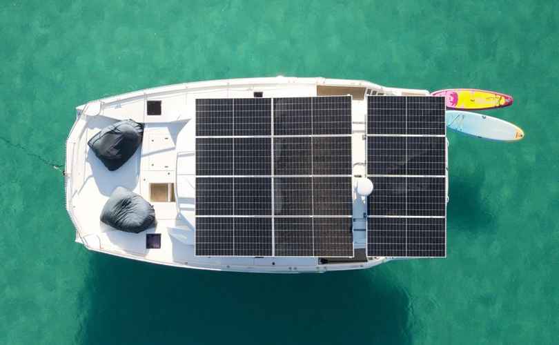 Photo Leopard 43 PC (2022)