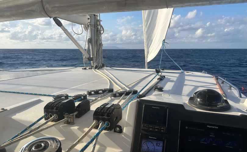 Photo Leopard 45 (2020)