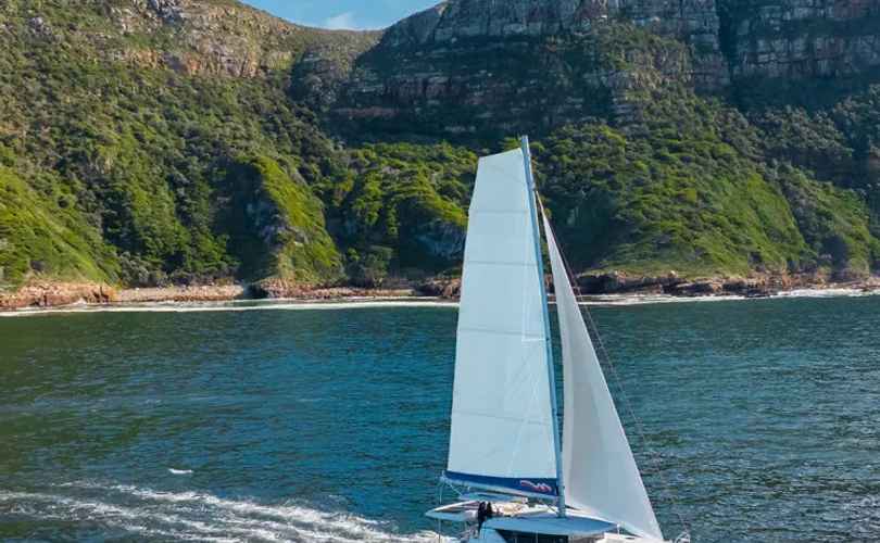 Photo Leopard 46 (2025)