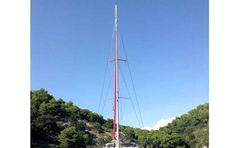 Leopard 47