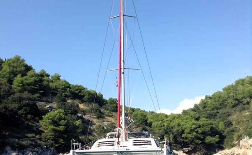Leopard 47
