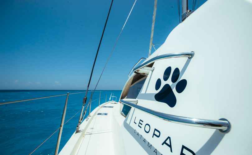 Photo Leopard 48 (2016)
