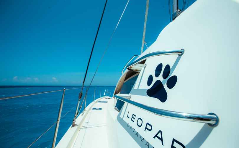 Photo Leopard 48 (2016)