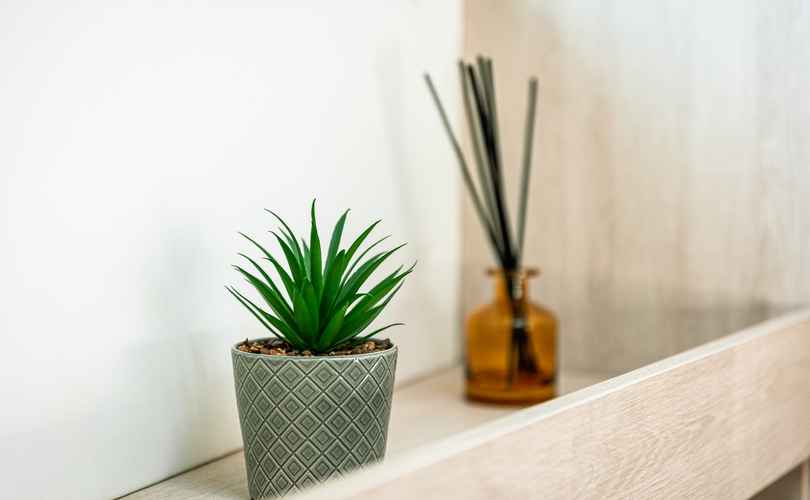 Photo Leopard 50 (2021)