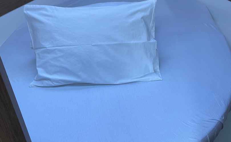 Photo Merry Fisher 895 (2019)