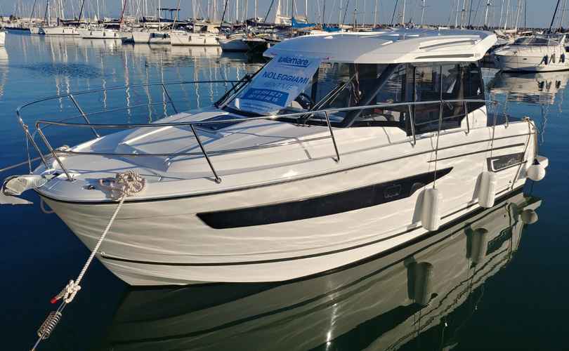 Merry Fisher 895