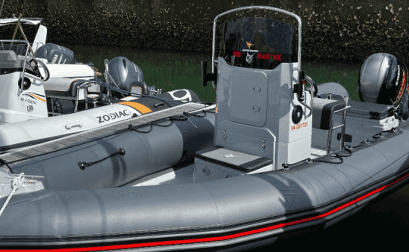 Photo Narwhal 670 (2025)