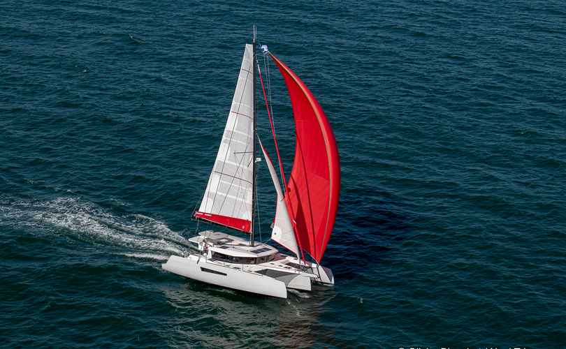 Photo Neel 47 (2020)