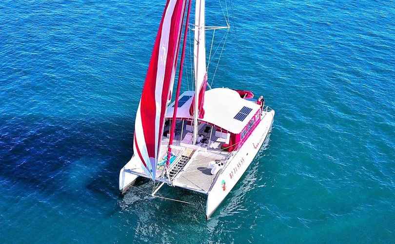 Photo Ocean Voyager 53 (2019)