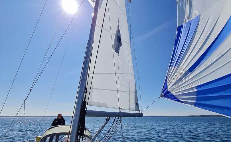 Photo Oceanis 31 (2011)