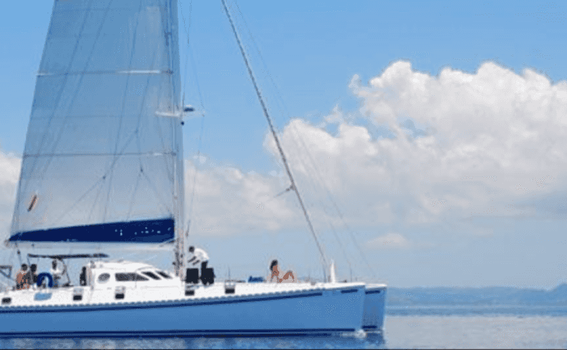 Photo Outremer 55 (2008)