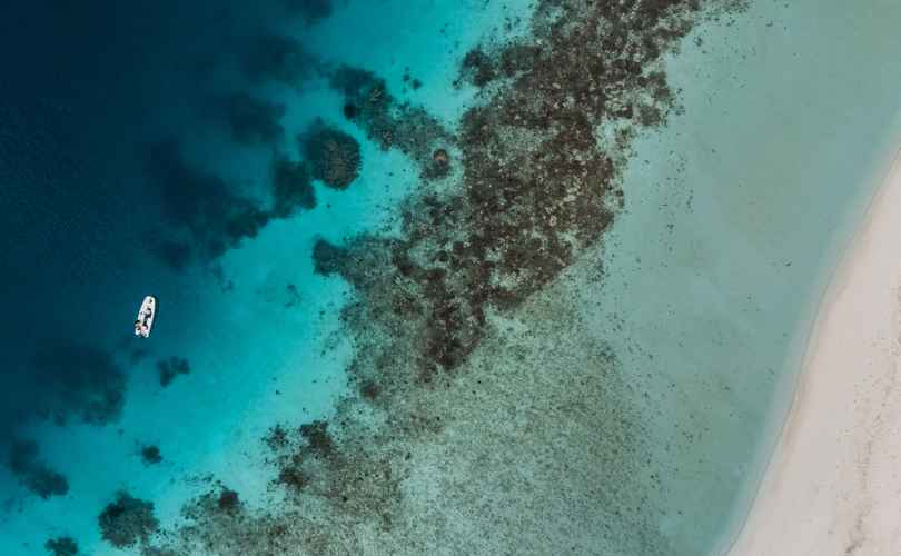 Over Reef