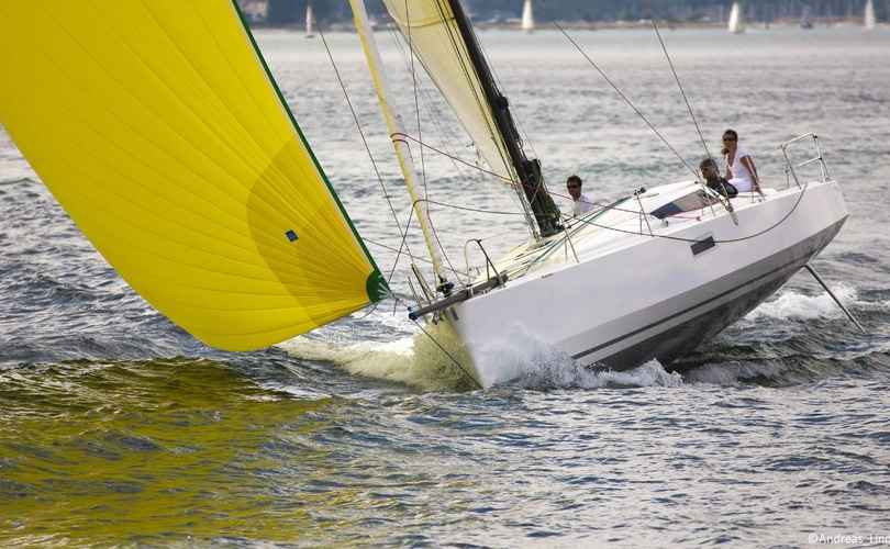 Photo Pogo 12.50 (2018)