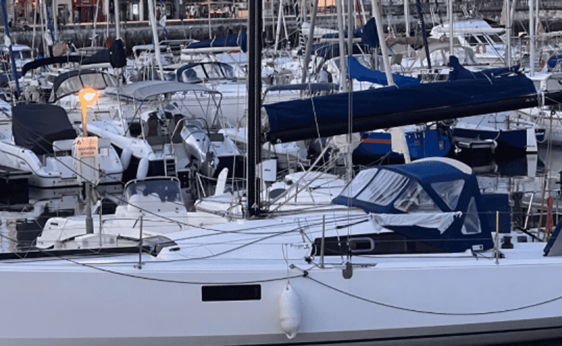 Photo Pogo 30 (2016)